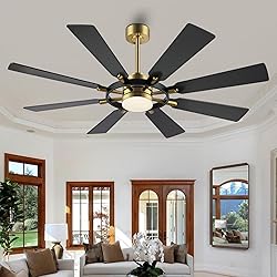 ELEHINSER 60 Inch Ceiling Fan with Lights and