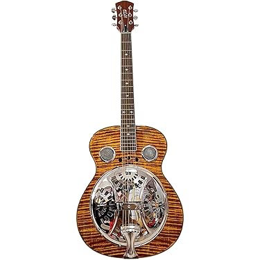 【値下げ】Acoustic World製 Resonator Guitar Washburn R70BCEK - Richie Owens Signature Resonator | Sweetwater
