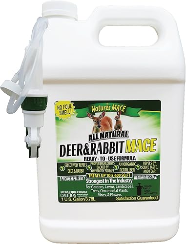 hstcstbl-table__image