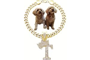 BA UNIQUE FASHION Initial Letter Cuban Chain Dog Chain Pet Chain Pet, Cat, Puppy Necklace (T, 10")