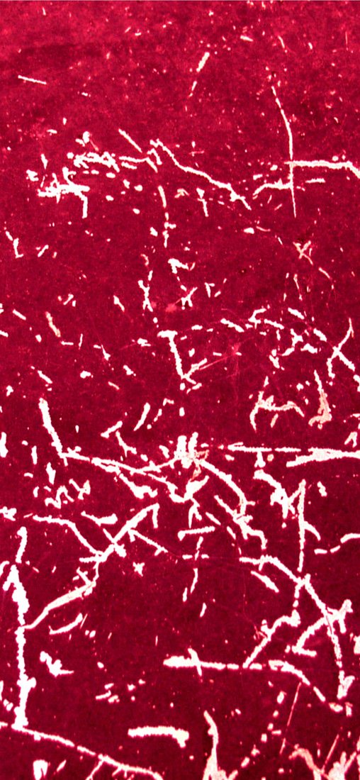 PeelitStickit Coloured Grunge Textures Pattern, Wallpaper Design, Wall Mural ID-033, vinyl