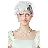 BABEYOND Fascinator Hat Veil Feather Fascinators Hair Clip Tea Party Pillbox Derby Hat Fascinator Bridal Wedding