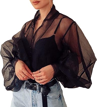 puff sleeve sheer blouse