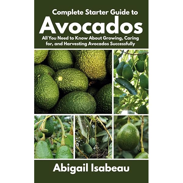 The Avocado Handbook: Essential Guide to Growing Avocado Trees