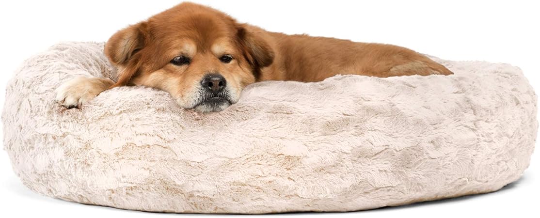 amazon fluffy dog bed