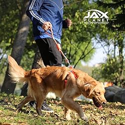 Soft Touch Collar & Rope Leash :CofN Rope Dog Leash