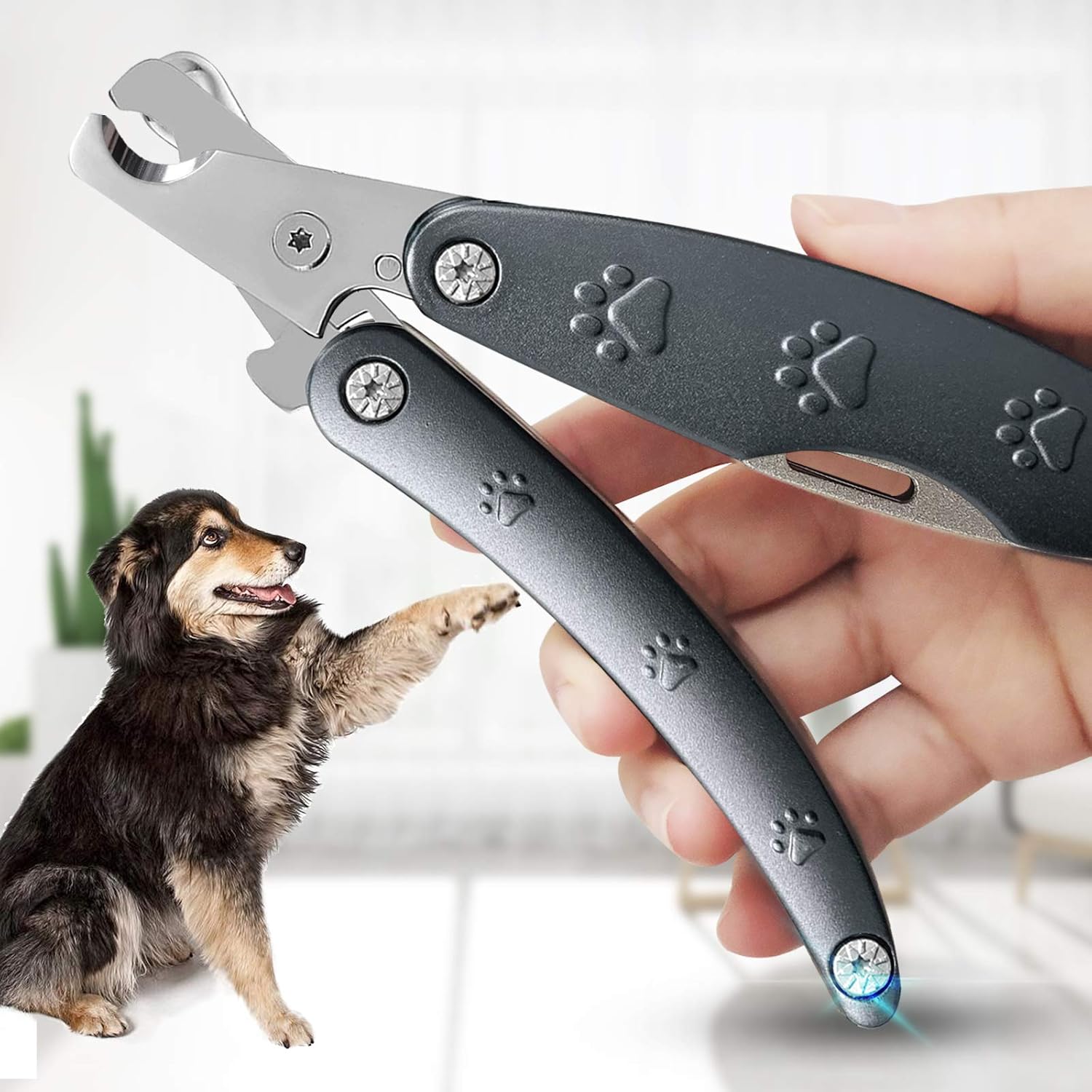 dog clippers with metal guards