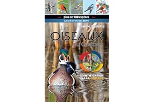 Oiseaux du Québec Les (Identification par la couleur)