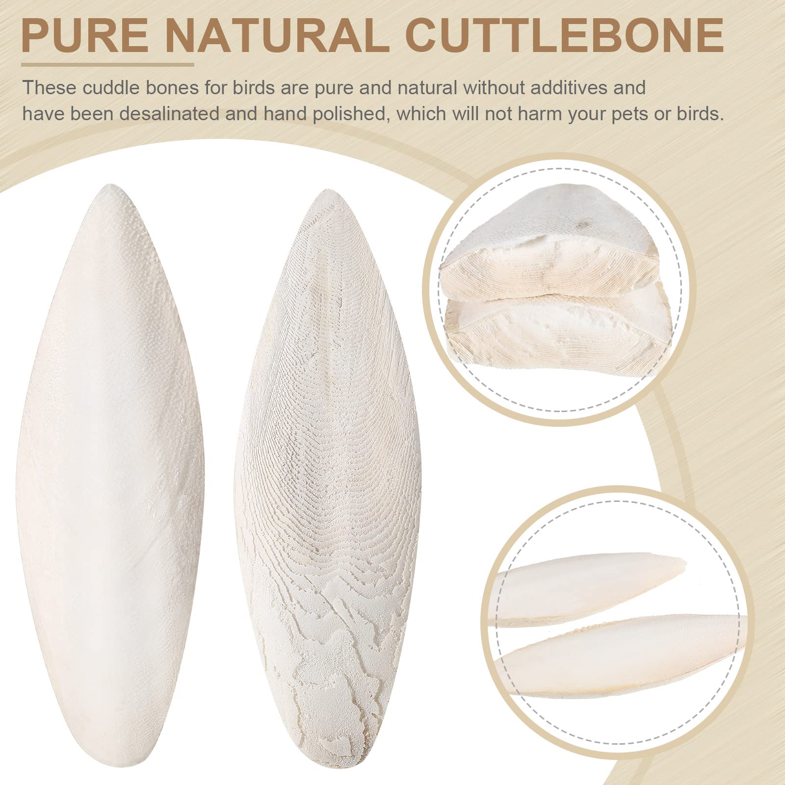 Cuttebone Mua LEIFIDE 25 Pcs Bird Cuttlebone for Parakeets Natural Cuttlebone for ...