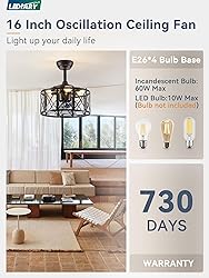LEDIARY 16in Caged Fandelier Ceiling Fan with