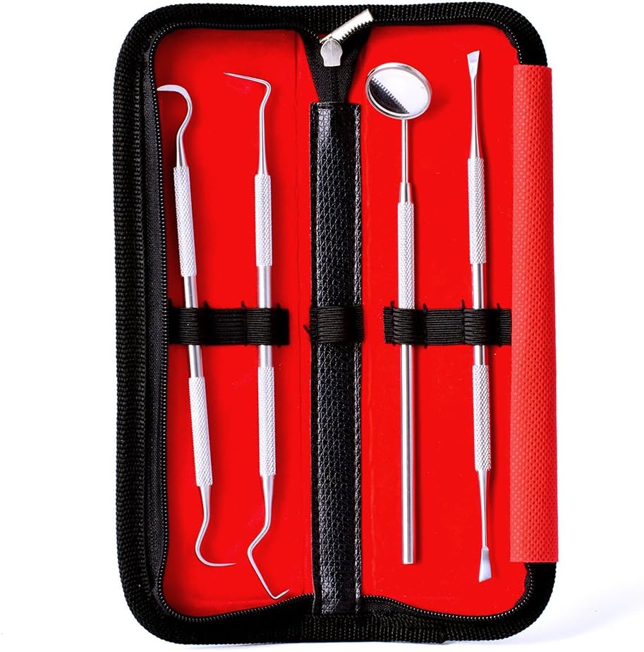 Plaque Remover for Teeth Dental Care Kit for Plaque Removal, Steel, 4 Count (Pack of 1) - Image 3