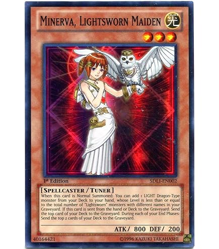 Amazon.com: Complete Custom Deck for Yu-Gi-Oh! - Twilightsworn & Lightsworn  Chaos Deck : Toys & Games
