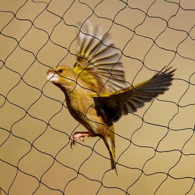Anti Pájaro red de malla, Ashow aves de corral Prevención con 0.5 ...