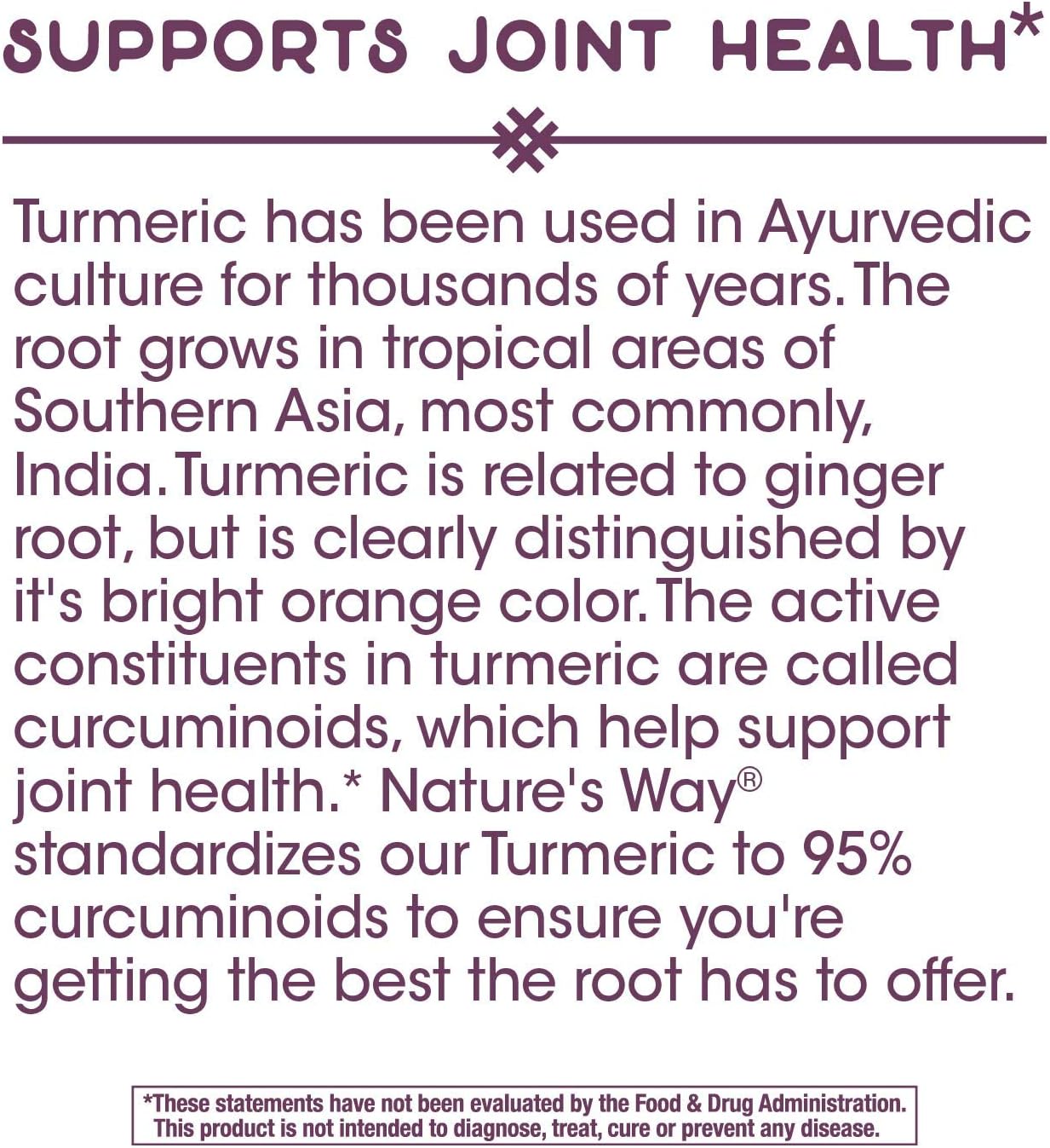 Nature's Way Premium Turmeric Extract, 500 mg per serving, 120 Capsules (Packaging May Vary): Health & Personal Care
