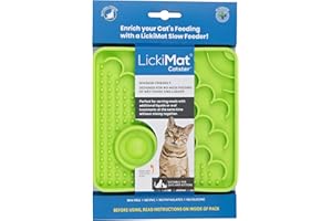 LickiMat Catster Combination Slow Feeder with Micro Dish for Added Hydration for All Cats and Kittens (Green)