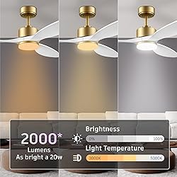 Hoenofly 48 Inch Smart Ceiling Fans with Lights and