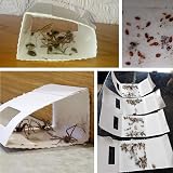 CritterKill Spider Trap 30 Pack - Child & Pet Safe, Eco Friendly Glue view 5