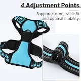 Belababy Dog Harness Adjustable No Pull Front Back Clip Reflective Blue XL view 5