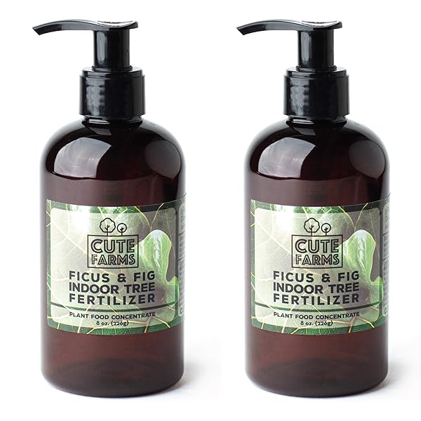 CUTE FARMS INDOOR FIDDLE LEAF FICUS LYRATA & FIG TREE FERTILIZER | GENTLE PLANT FOOD CONCENTRATE 3-1-2 FOR HEALTHY LEAVES & ROOTS (TWO – 8 OZ. BOTTLES)