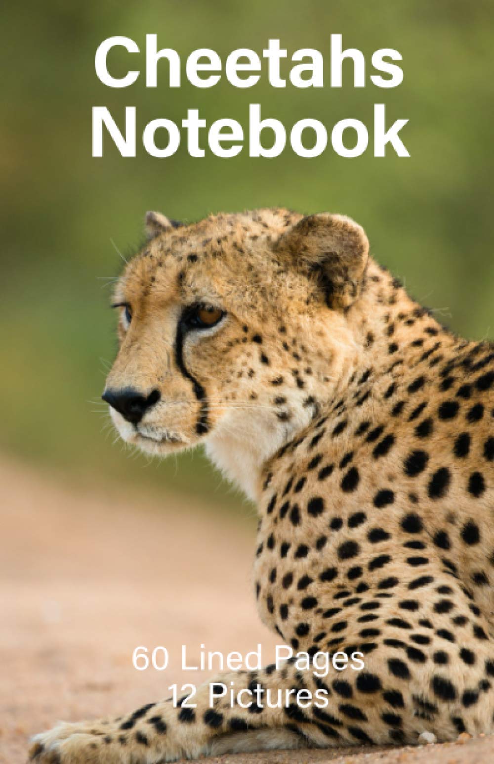 Cheetahs Notebook: 60 Lined Pages and 12 Cheetah Pictures (Cason Notebooks)