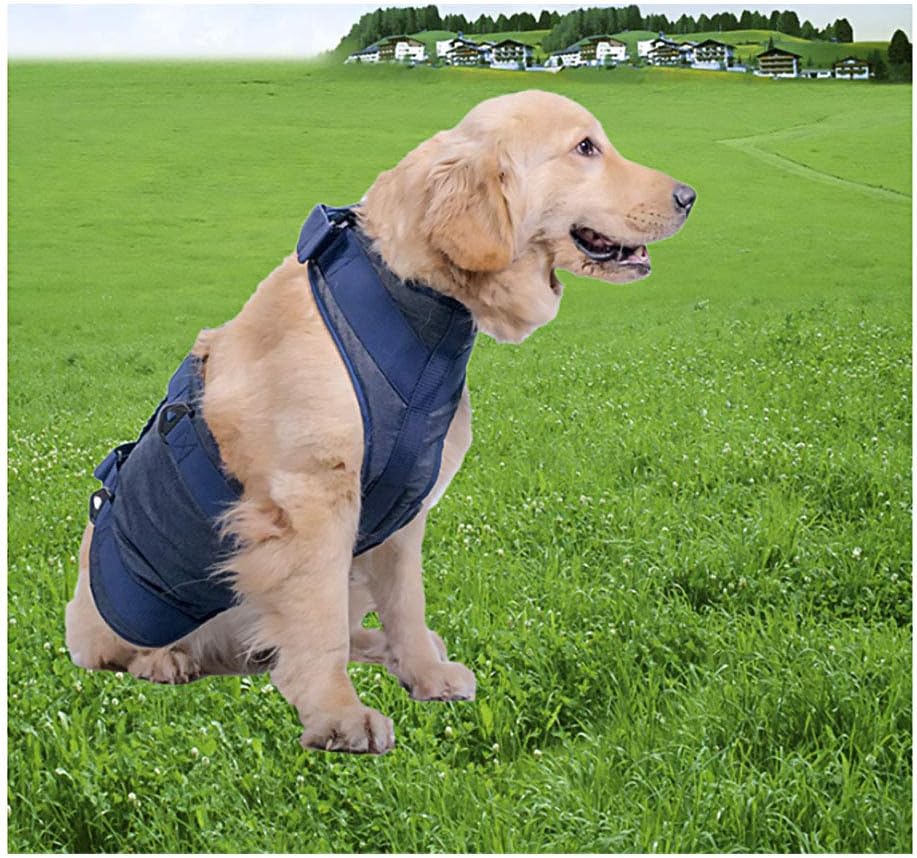 HUILI Dog Lifting Harness, Dogs Lift Support Rehabilitation Sling Adjustable Pet Walking Aid Lifting Pulling Vest Sling for Old, Disabled, Joint Injuries, Arthritis,M
