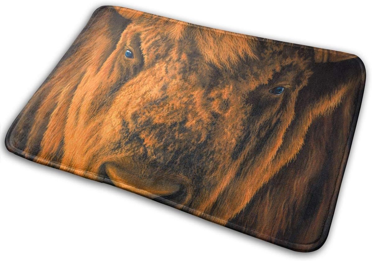 DENETRI DYERHOWARD Bath Mat Bison Non Slip Bath Rug Washable Bathroom Soft Kitchen Floor Door Mat