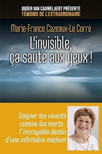 Download L'invisible, ça saute aux yeux ! (Témoins de l'éxtraordinaire) PDF