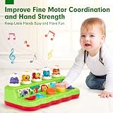 Hahaland Pop Up Montessori Toy with Hammers for 12 Months+ Boys & Girls view 3