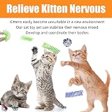 Speedy Panther 12 Pcs Cat Toys Indoor Plush Catnip Teaser Wand Spring Kit view 6