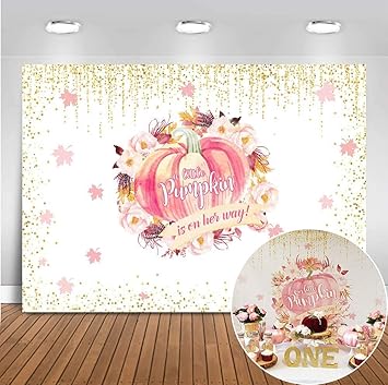 baby girl shower backdrop