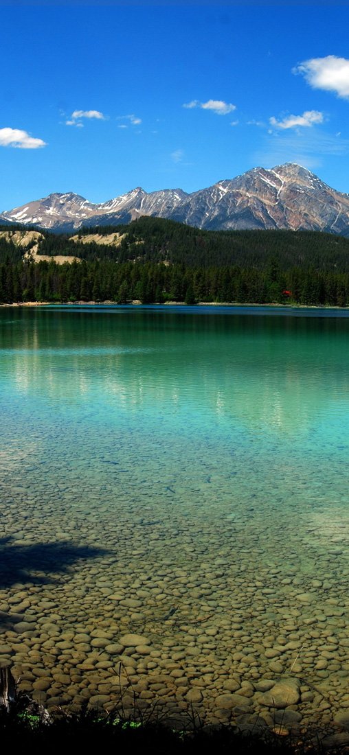 PeelitStickit, Beautiful Nature Wall Murals, ID-2924, vinyl