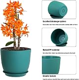 PROFIKLA Plastic Plant Pot Set 20cm 18cm 16cm with Drainage Holes Saucers Blue view 3