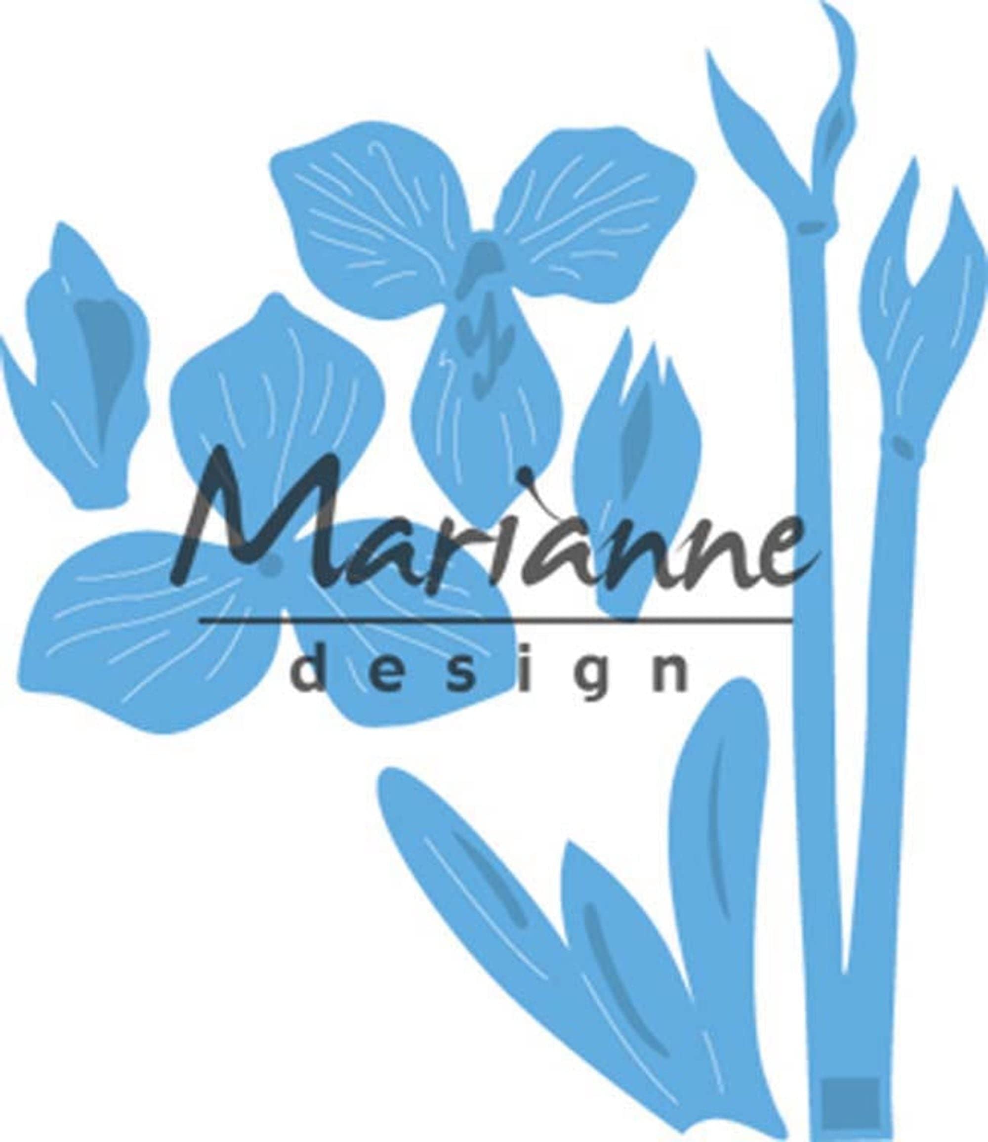 Marianne Design Creatables Petra's Amaryllis for Die Cutting and Embossing Paper Crafts, metal, Light Blue, 5,2 x 9,3 cm / 5,7 x 5 cm