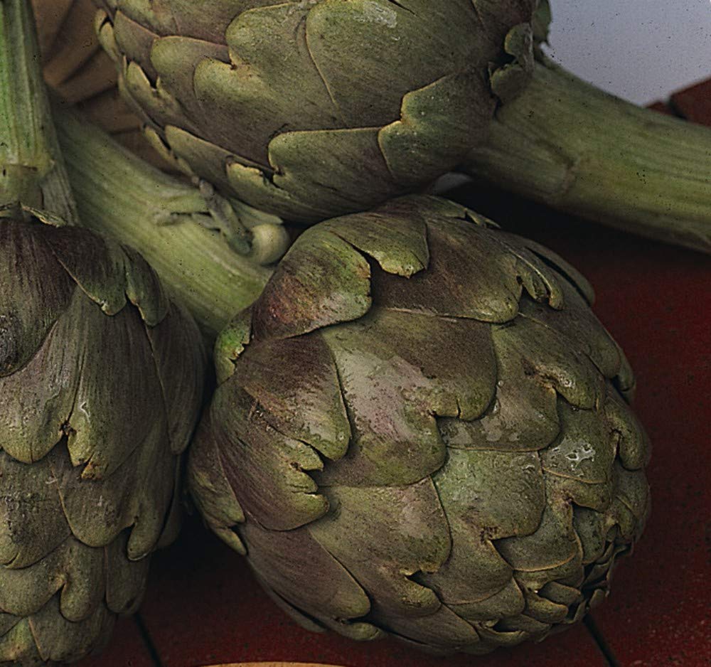 Thompson & Morgan - Vegetables - Artichoke Green Globe Improved - 40 Seed