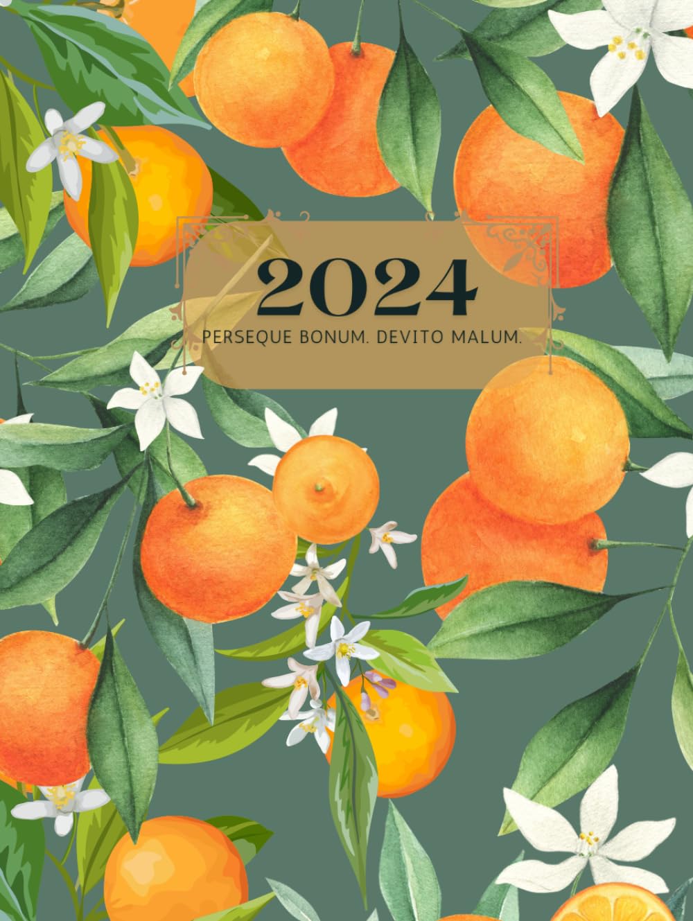 2024 Do Good Planner 8.5 x 11 inches Traditional Catholic Liturgical Calendar