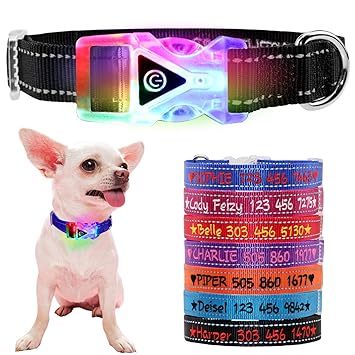 dog collars with names embroidered on them