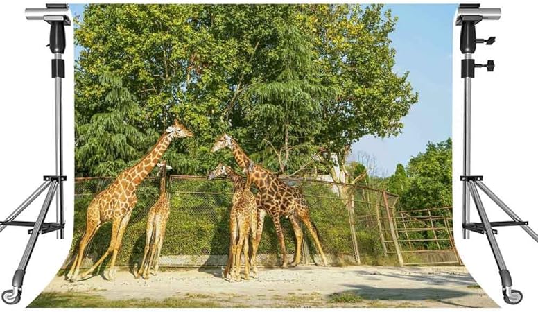 Amazon Meets 7 X 5ft動物園写真バックドロップgreen Plant Giraffe背景テーマパーティー写真ブースyoutube Backdrop Gemt845 バックペーパー 背景布 通販