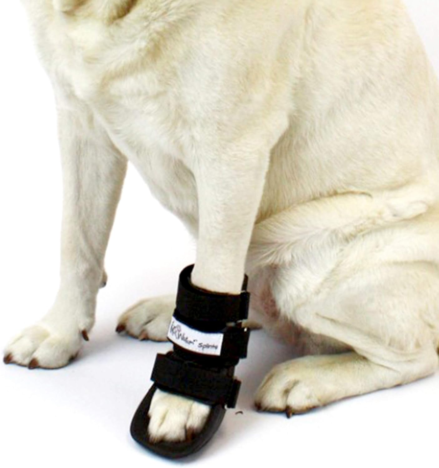 bootie splint for dogs