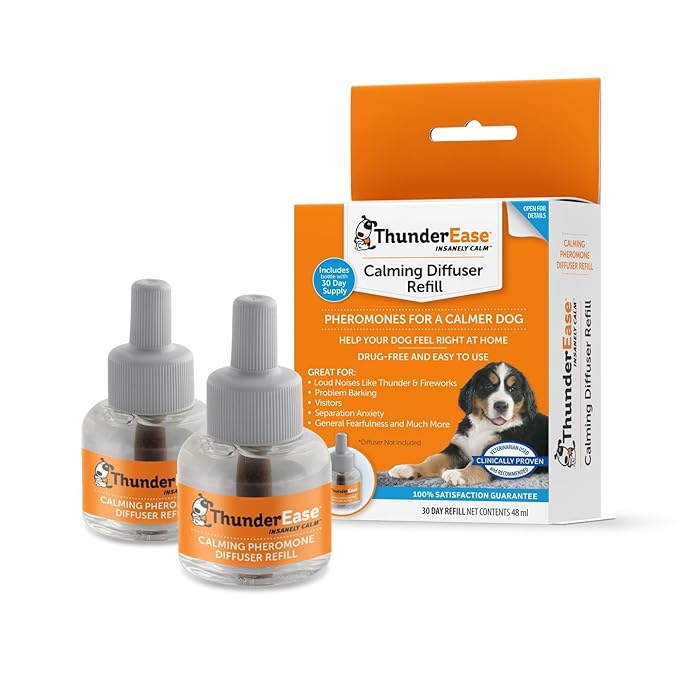 dinovite reviews 2018