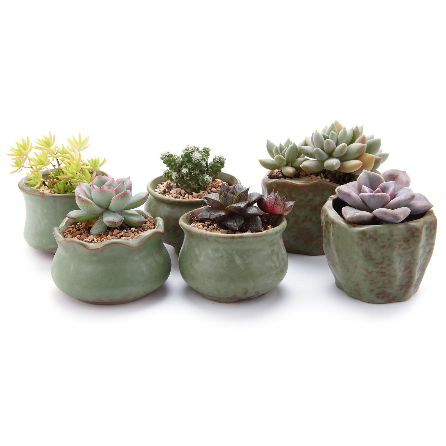 2.75-3"Spring Serial Sets Sucuulent Cactus Plant Pots Flower Pots