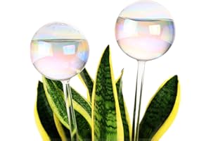 Soilagua 13 oz Up to 2 Weeks Extra Large Plant Self Watering Globes, Light Iridescent Glass Water Bulbs for Indoor Plant, Vacation Watering System While Away, Self-Watering Stakes Plant Waterer, 2 Pcs