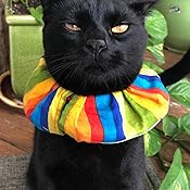 birdsbesafe collar amazon