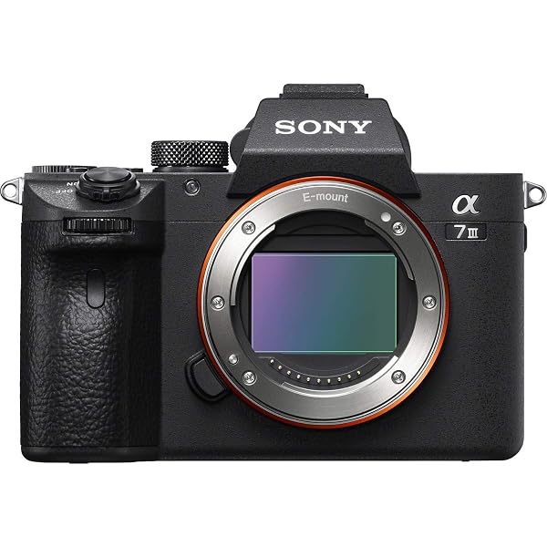 Amazon.com : Sony Alpha a7 III Full Frame Mirrorless Digital 