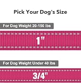 Taglory Dog Leash Small Medium Reflective Padded Handle 2cm x 120cm Hot Pink view 4