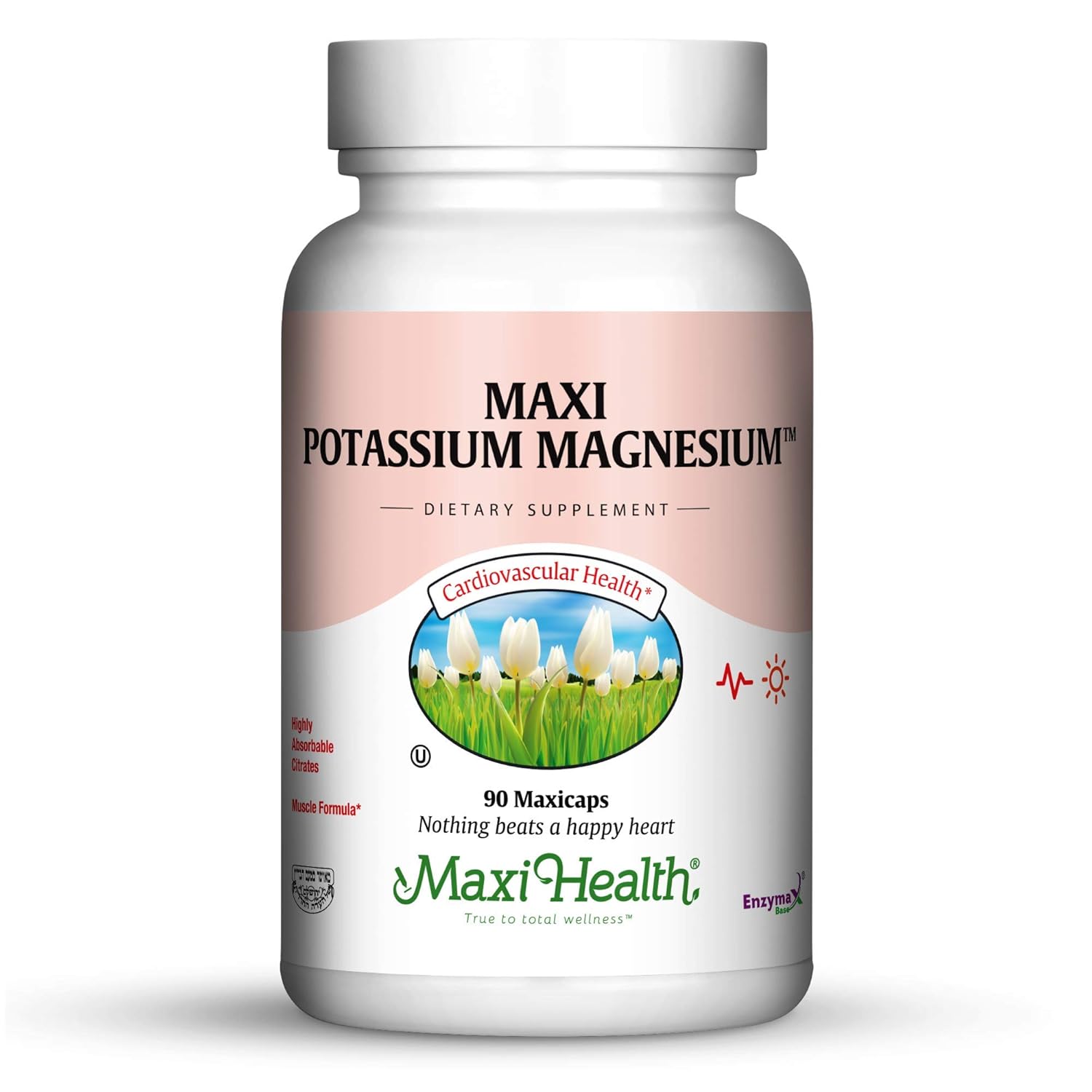 Potassium Magnesium Energy Support Heart & Muscle Formula 90 Capsules Kosher 767674303584 eBay