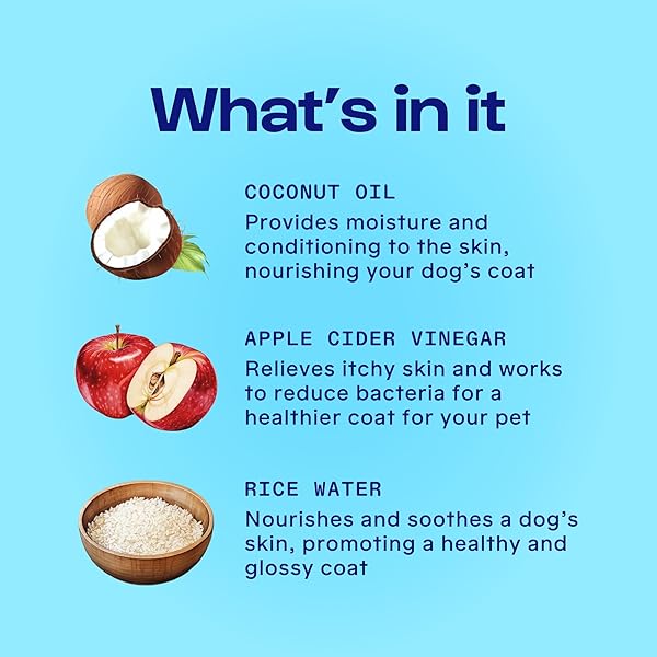DIRTY DOG BEAUTY CLUB – PUPPY PARTY SHAMPOO & CONDITIONER FOR PETS – GENTLE FORMULA, ORGANIC ESSENTIAL OILS, VET & SCIENTIST FORMULATED, VEGAN, PARABEN FREE, HYPOALLERGENIC -300 ML (10 OZ), UNSCENTED