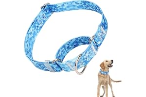 ONEFOJOJO Martingale Collar for Dogs, Blue Dog Collar for Small Medium Large Dogs, Adjustable Premium No Slip Collar, Perfect Boy and Girl Collar for Training, Walking, Hunting (L)