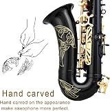 EASTROCK Alto Saxophone Beginner E Flat Black Lacquer with Case Reeds Gloves view 4
