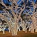 DeVida Solar String Lights 120 Warm White LED, Easy to Install, Automatically Turns on at Night, Outdoor Waterproof, 55 ft Set Includes 13 ft Lead Wire Plus 42 ft Lighted Strands for Tree Wrap