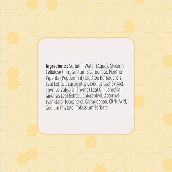 BURT’S BEES FOR PETS NATURALLY DERIVED ORAL CARE KIT DOG DENTAL KIT WITH TOOTHPASTE & BAMBOO TOOTHBRUSH DOG TOOTHBRUSH AND TOOTHPASTE WITH HONEYSUCKLE & PEPPERMINT OIL, FRESH MINT FLAVOR (2.5 OZ)